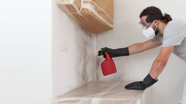 Professional Mold Cleanup technician working in Levittown, NY