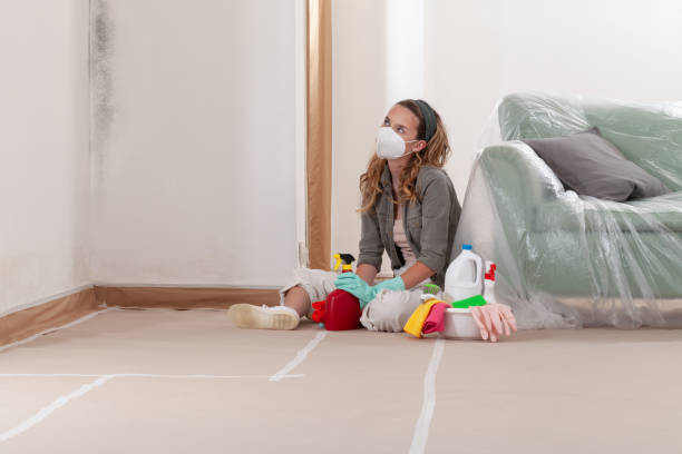Reliable Mold Cleanup contractor in Levittown, NY by Cheap Mold Removal